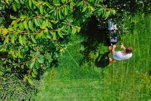 jardineiro empurrando gramado cortador de grama para corte Relva dentro jardim às verão. aéreo visualizar. foto