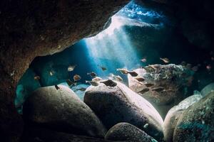 embaixo da agua caverna dentro mar com Sol raios e escola do peixe foto