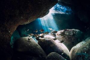 embaixo da agua caverna com raios solares escola do peixe dentro oceano foto