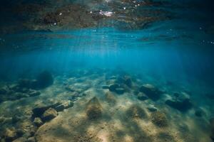 embaixo da agua Visão com pedras e algas marinhas dentro transparente mar. luz solar dentro oceano foto