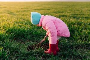 retrato do criança menina dentro a campo escavação a terra com uma pá foto