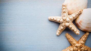 mar Estrela ou estrelas do mar orastra reticulatus em uma arenoso solo oceânico foto