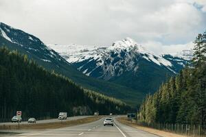 transcanadá rodovia dentro banff nacional parque, mostrando a animais selvagens cruzando ultrapassar foto