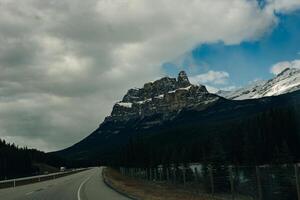 transcanadá rodovia dentro banff nacional parque, mostrando a animais selvagens cruzando ultrapassar foto