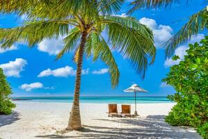 natureza de praia tropical como paisagem de verão com espreguiçadeiras e palmeiras e mar calmo para banner de praia. paisagem de viagens de luxo, belo destino de férias ou feriado. cena de praia foto