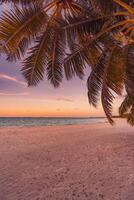 relaxante paisagem marinha tropical com amplo horizonte do mar de céu de areia. colorido crepúsculo crepúsculo pôr do sol nascer do sol água seascape com palmeira deixa vista abstrata. verão viagens férias natureza foto