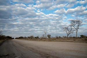 bela paisagem com uma estrada que atravessa o deserto. céu nublado. namibia foto