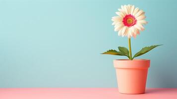 uma solitário gerbera margarida dentro uma pêssego Panela contra uma azul e Rosa gradiente foto