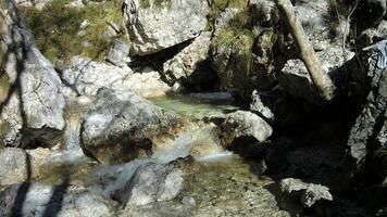curso de água dentro a dolomites foto