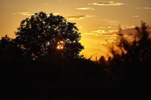 lindo campo paisagem dentro Itália 20 foto