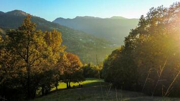 jardim com árvores dentro a dolomites 9 foto