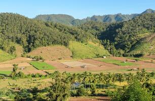 campo agricultura dentro a montanha vale, Tailândia foto