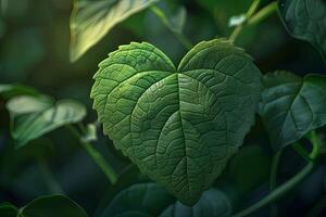 coração estão revivido, natureza, verde, folha, 3d conceito foto