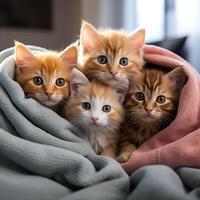 animal amigáveis lugares conceito. uma grupo do fofa gatinhos lado de lado acariciado acima juntos dentro uma acolhedor cobertor. emocional Apoio, suporte conceito. foto