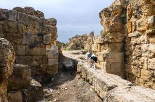 panorâmico Visão do a ginásio às a antigo romano cidade do salames perto famagusta, norte Chipre 3 foto