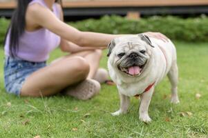 feliz ásia mulher jogando com fofa inteligente pug cachorro cachorro dentro a quintal foto