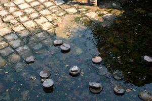 ruínas do a ótimo basílica dentro butrint nacional parque, butroto, Albânia. triconch Palácio às butrint vida e morte do a antigo romano casa histórico medieval veneziano torre cercado foto