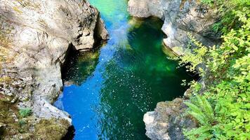 você pode Vejo uma brilhante azul rio este fluxos a partir de uma lindo cascata inglês rio cai parque Parquesville qualicum Vancouver ilha Canadá foto