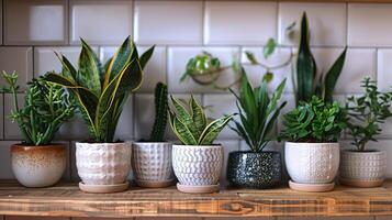 linha do em vaso plantas em de madeira estante foto