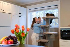 adolescentes jogando com uma gato cozinha fruta flores branco armários menina adolescente e uma Garoto alcance Fora olhando às uma siamês grande gato animal crianças interesse adolescência amigos colegas de classe irmão e irmã foto