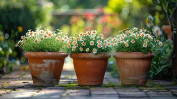 linha do em vaso plantas em de madeira mesa foto