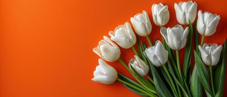 ramalhete do branco tulipas em laranja fundo foto