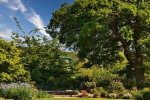 exuberante jardim com árvores e floração plantas foto