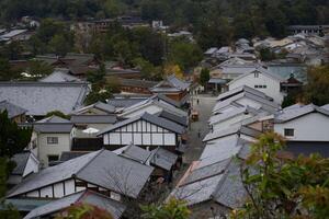 miyajima ilha, Japão - dezembro 5, 2023 - Visão do a velho Cidade em miyajima ilha foto