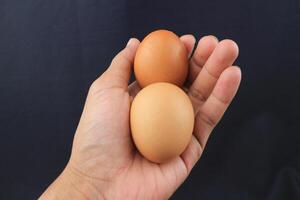 fêmea adolescente mão segurando Castanho frango ovo isolado em Preto fundo foto