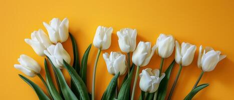 branco tulipas arranjado em amarelo fundo foto