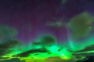 lindo aurora da natureza deslumbrante luz mostrar tintas a noite céu com magnífico cores, cativante espectadores no mundo todo dentro temor foto