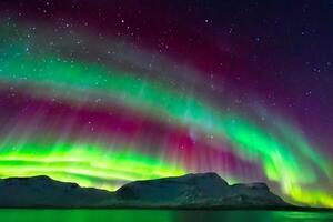 lindo aurora da natureza deslumbrante luz mostrar tintas a noite céu com magnífico cores, cativante espectadores no mundo todo dentro temor foto