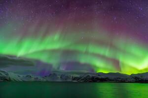 lindo aurora da natureza deslumbrante luz mostrar tintas a noite céu com magnífico cores, cativante espectadores no mundo todo dentro temor foto