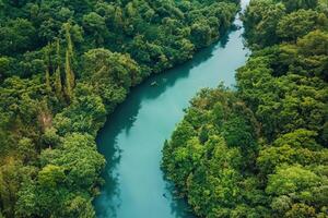 tirar o fôlego panorama uma lindo rio ventos através encantador ar e exuberante árvores, oferta uma sereno e pitoresco fuga para dentro da natureza tranquilo e verdejante abraço foto