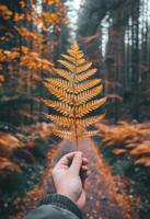 pessoa segurando uma amarelo folha dentro floresta foto