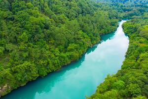 tirar o fôlego panorama uma lindo rio ventos através encantador ar e exuberante árvores, oferta uma sereno e pitoresco fuga para dentro da natureza tranquilo e verdejante abraço foto