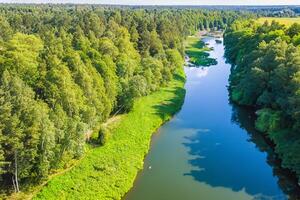 tirar o fôlego panorama uma lindo rio ventos através encantador ar e exuberante árvores, oferta uma sereno e pitoresco fuga para dentro da natureza tranquilo e verdejante abraço foto