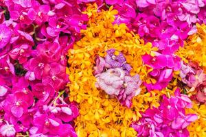 pano de fundo do belas arranjado flor e brilhante cores é pano de fundo para flor dentro belas arranjado jardim às flor festival. lindo colorida fundo com cópia de espaço para inserindo texto. foto
