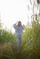 costas do jovem mulher caminhando através cevada campo ao longo caminho dentro uma brilhante verde arroz campo dentro manhã quer para estar feliz sozinho. jovem fêmea turista goza manhã andar desfrutando Visão do cevada Campos. foto