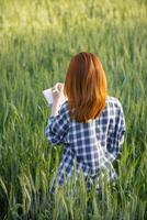 costas do jovem mulher caminhando através cevada campo ao longo caminho dentro uma brilhante verde arroz campo dentro manhã quer para estar feliz sozinho. jovem fêmea turista goza manhã andar desfrutando Visão do cevada Campos. foto