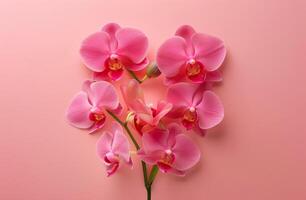 coração em forma Rosa orquídea arranjo em Rosa fundo foto