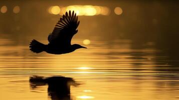 a caloroso matizes do a pôr do sol realçar a beleza do uma pássaro dentro voar Está retroiluminado asas criando uma deslumbrante reflexão em a água abaixo foto