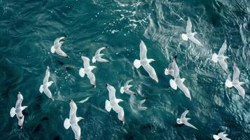 uma rebanho do gaivotas migrando para mais quente litorais seus branco penas criando uma rígido contraste contra a azul oceano foto