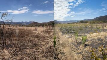 uma antes e depois de foto comparação do uma estéril seco panorama e uma próspero exuberante verde panorama. a antes imagem representa a impacto do fóssil combustível consumo e a depois de imagem