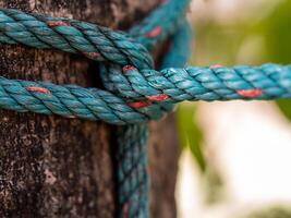a nylon corda estava firmemente amarrado para a grande árvore foto