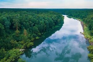 tirar o fôlego panorama uma lindo rio ventos através encantador ar e exuberante árvores, oferta uma sereno e pitoresco fuga para dentro da natureza tranquilo e verdejante abraço foto