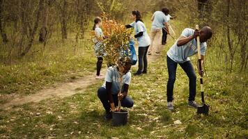 africano americano ecológico ativistas plantio mudas dentro uma floresta ambiente, trabalhando juntos dentro unidade para preservar e proteger a natural habitat. crescendo árvores projeto. Câmera b. foto