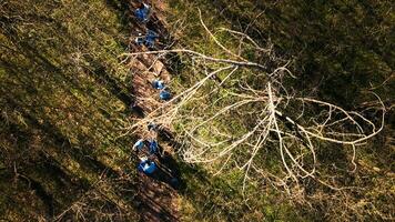 aéreo Visão do voluntários fazendo lixo Limpar dentro uma floresta área, colecionar lixo e plástico desperdício, brigando ilegal despejo. ativistas limpeza para madeiras e reciclando para natureza conservação. foto