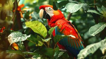vibrante vermelho e azul papagaio empoleirado em uma ramo. conceito do exótico pássaro, animais selvagens, tropical natureza, aviária, arara foto