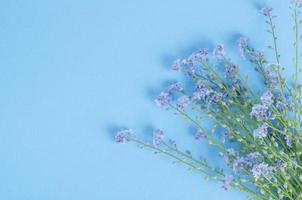 pequeno buquê de delicados miosótis sobre fundo azul. foto